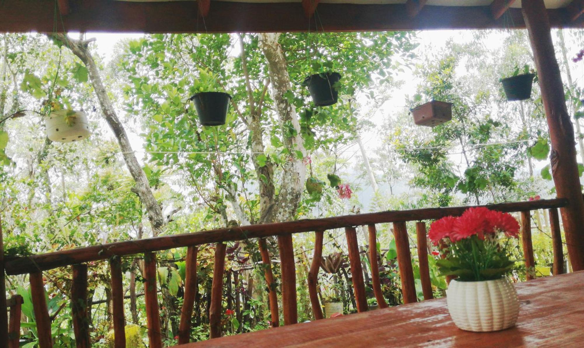 Deneth Homestay 엘라 외부 사진